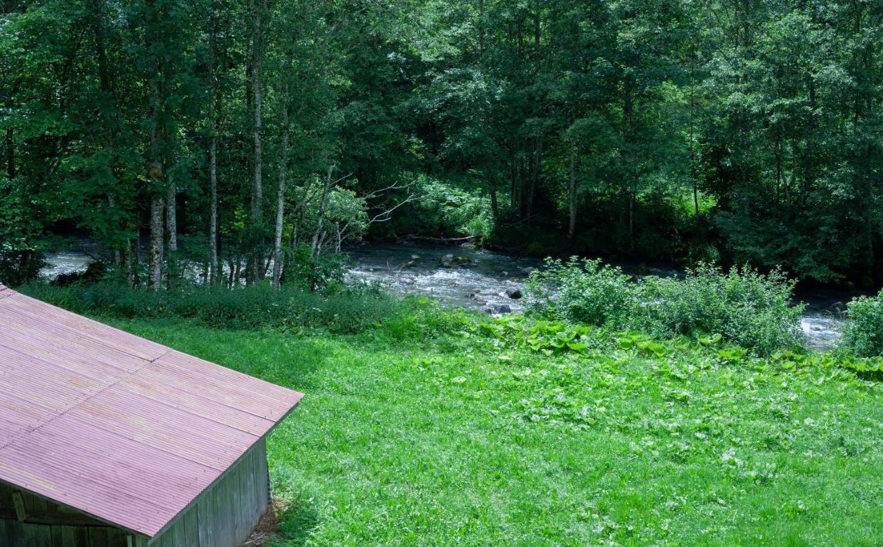 Grand Appartement Proche Gd Bornand Glieres-Val-de-Borne Exterior photo